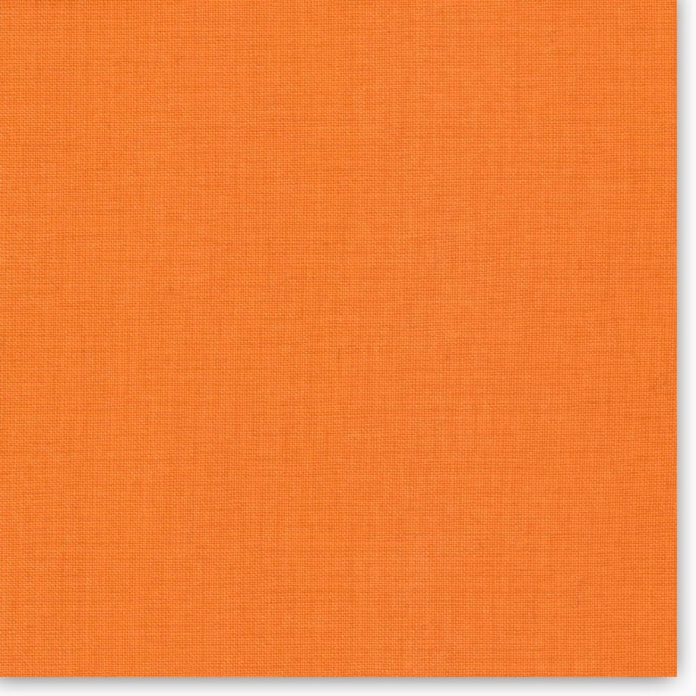 CHESTER 1007-2003 (orange)